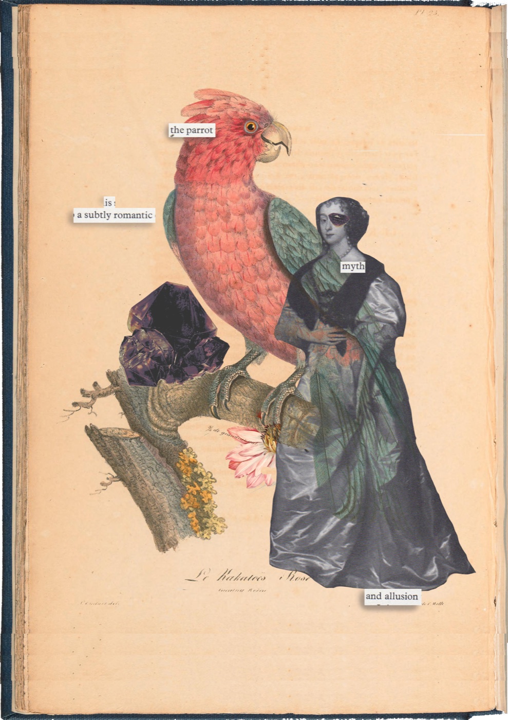A collage on an antique book page: Lady Mary Villiers stands beside a large coral-coloured parrot, a crystal and botanical fragments; extracted words describe a subtly romantic myth and allusion.