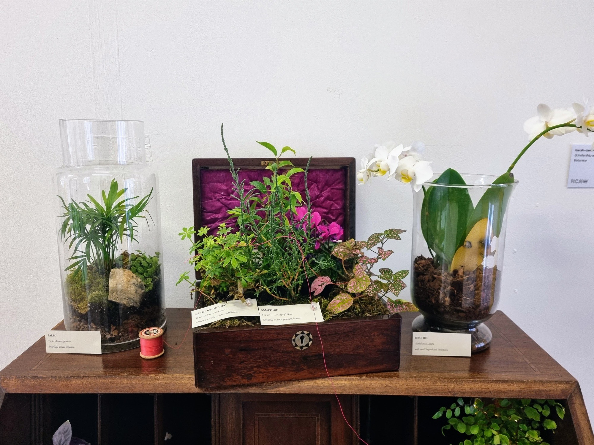 Plants and poetic labels fill the magenta-lined sewing box, flanked by a palm terrarium and a white orchid in glass, with red thread connecting the arrangement.