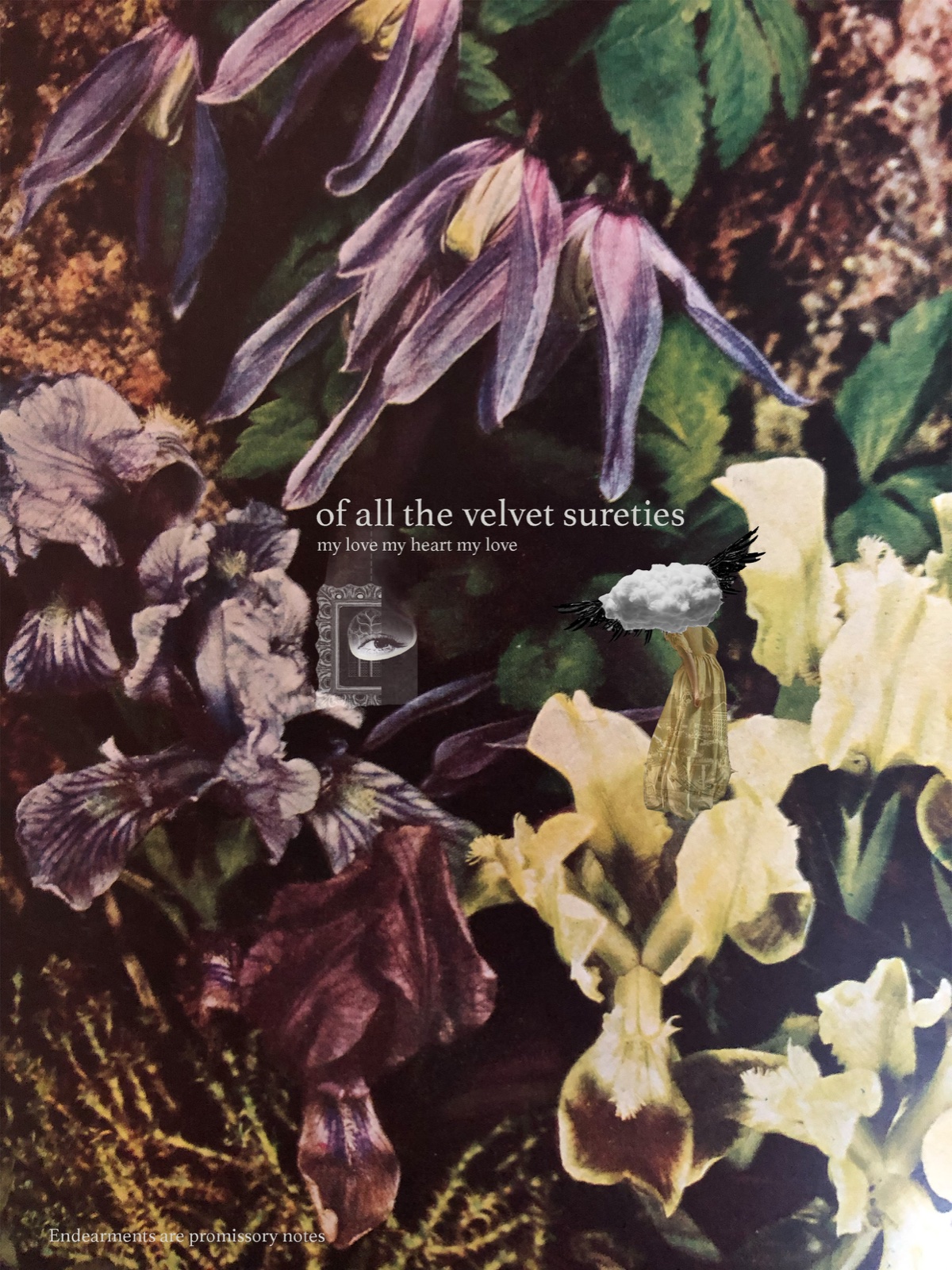 A dark botanical collage of purple and cream flowers with small surreal figures; the central words read of all the velvet sureties, my love my heart my love.