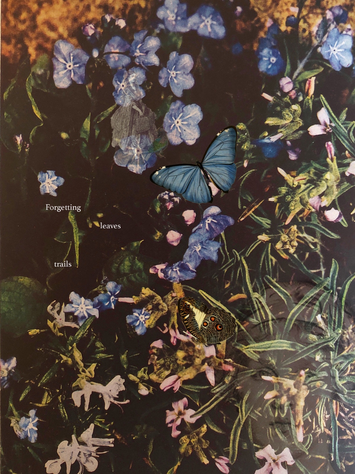 A dark collage of blue forget-me-nots with butterflies and a faint historical figure; the separated words read Forgetting leaves trails.
