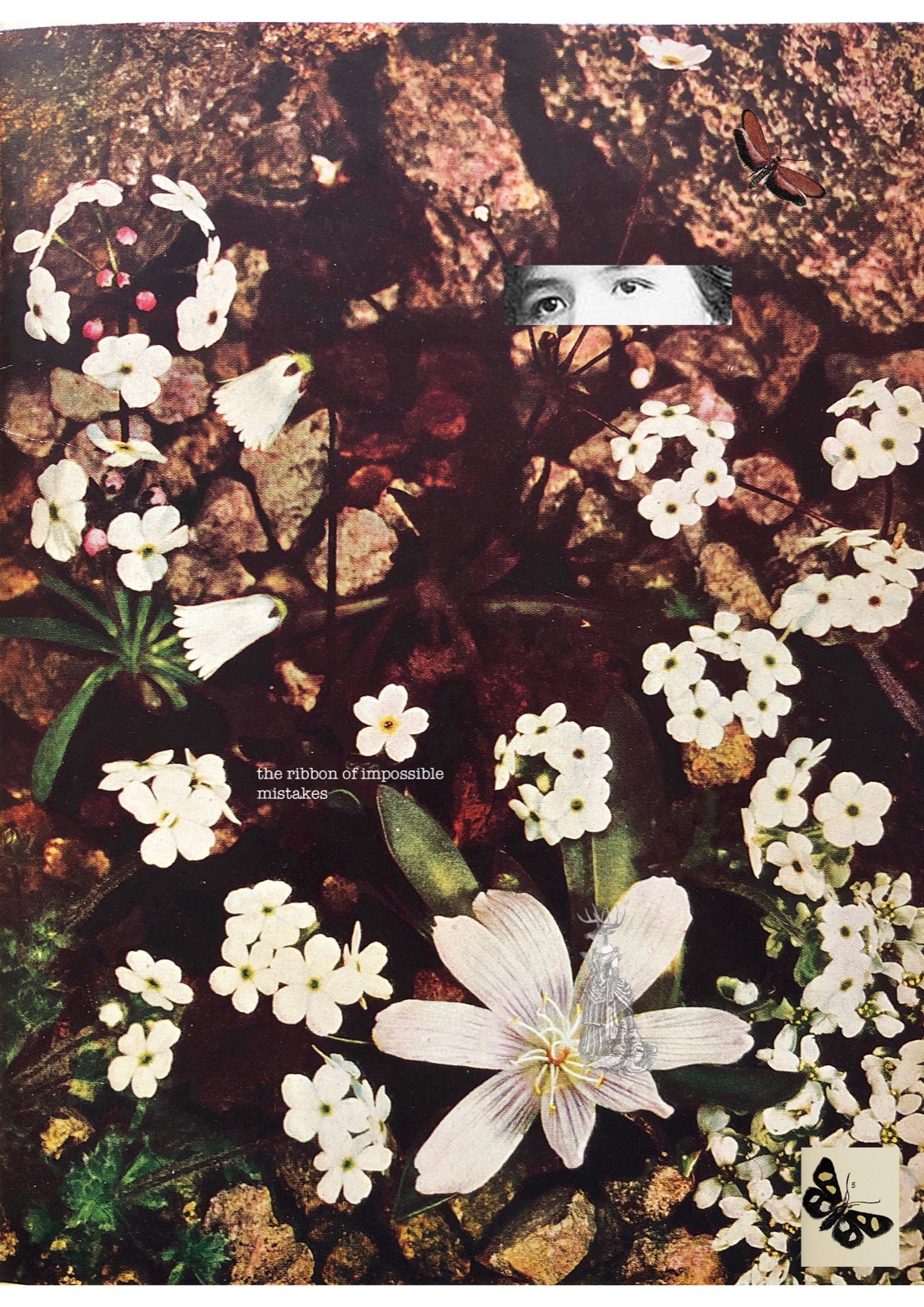 A botanical collage of small white flowers on dark ground, interrupted by fragments of eyes, moths and historical figures; the words read the ribbon of impossible mistakes.
