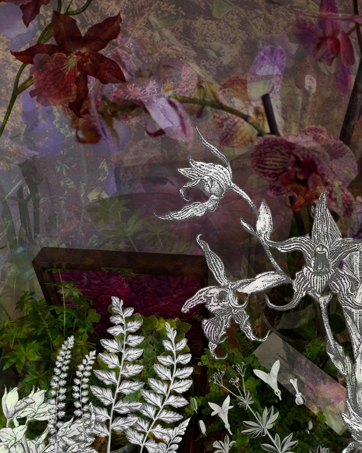 A collaged double exposure: the Botanica installation seen through overlaid glass vessels and greenery, the real and the imagined interleaved.
