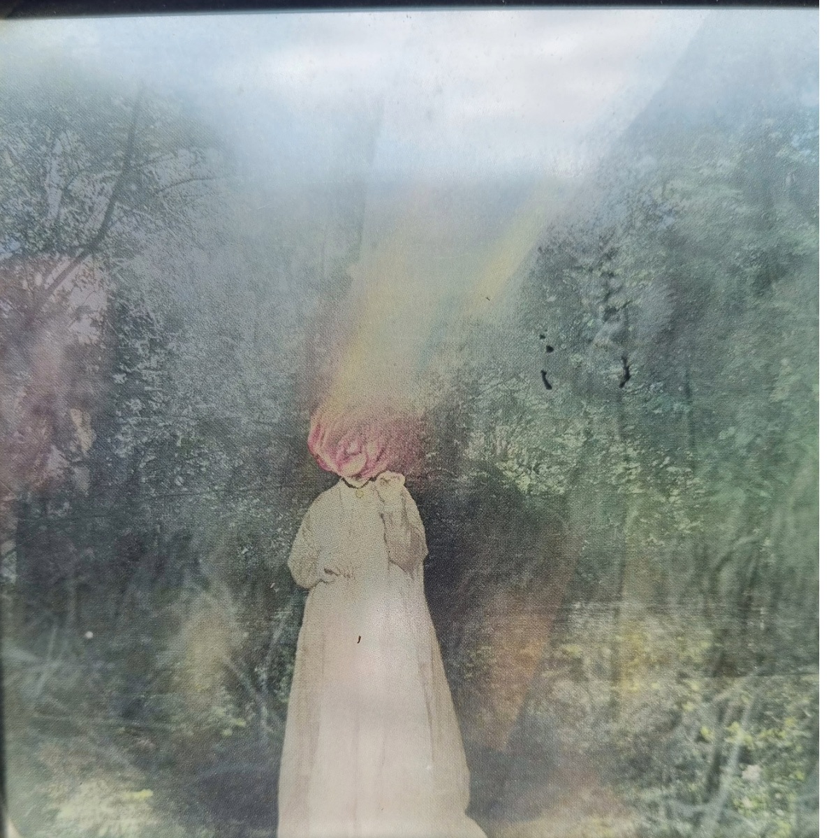 The framed lantern slide of Hedgerow and Lost Light, backlit by window light — glass, tape and mount visible.